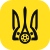 Чемпіонати НЛМ