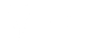 НЛМ